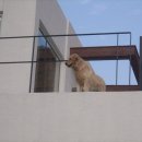 오픈하우스비 이미지