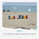부산 갈만한곳 송정해수욕장 방문후기 놀거리 주차 맛집