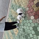 3115 이나영 이미지