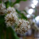 진국명국 이미지