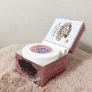 쉐이킹 푸딩 헤어컬러 [스모키 애쉬 블라썸] 염색 후기