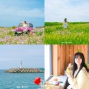 제주 핫플레이스 가파도 배예약 시간 카페 점심 당일 코스