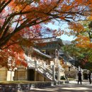 송정관광지 이미지