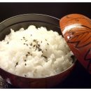 삼락하동재첩국 | 부산 사상구 삼락동 맛집 재첩국 삼락하동재첩국