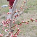 화이트빌리지 이미지