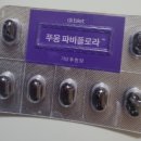 파비플로라 후기: 내돈내산 120베지캡슐 솔직 사용기