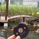 햇살처럼부산 | 부산 서면 카페 도시농가코페도코 내돈내산 솔직후기 도심 속 숲속 감성과 시그니처 도코햇살 힐링 타임
