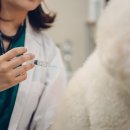 진흥동물병원 이미지