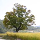 젤코바펜션 이미지