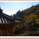 대공산성 등산로 이미지