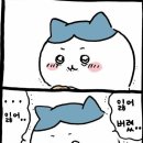 다마시떼 이미지