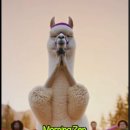 힐링 요가 이미지