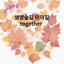 이이효재길 투어 늦은 후기 (feat. 우리가족 투어)