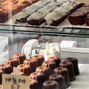 터틀턴