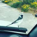 알오네농장 이미지