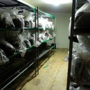 백봉령농장 이미지