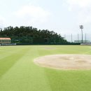 남해스포츠파크 야구장 이미지