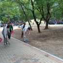 자인계정숲 이미지