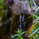 석대천로 이미지