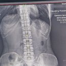 우신향정형외과의원 이미지