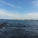 개물목장 이미지