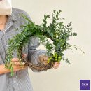 시온샬로머문화원 이미지