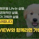 (주)펫츠뷰 네이버블로그