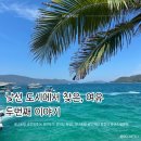시장피자(도당점) | 세 번째 나트랑 여행: 낯선 도시에서 찾은 여유