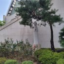 수원교구 중앙성당 이미지