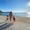 로제스(A)펜션 | 거제도 스파펜션 로제스 펜션