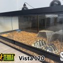 엑소렙타일 | 서울렙타일 단골 고객님의 'Exo-Terra Vista 120' 리얼 세팅 후기! 엑소테라 테라리움, 파충류 조립식...
