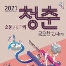 ㈜청춘드림 이미지