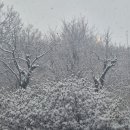 신야춘추 이미지