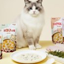 더 스튜 이미지