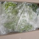 늘푸른농장1 이미지