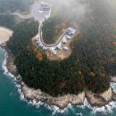 성주면사무소 | 충남 보령 원산도자연휴양림 2026년 상반기 개장 예정