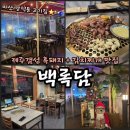 마산 양덕동 맛집 백록담 | 제주갬성 흑돼지와 대박 김치찌개
