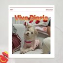 11650-7-67-10 | 67. 소중한 것들로 하루하루 채워 넣기🍀