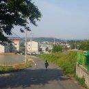 서초대박공인중개사사무소 이미지
