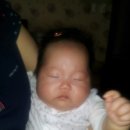 윤서축산 이미지