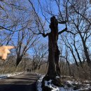 공주 가볼만한 곳 계룡산 갑사의 겨울