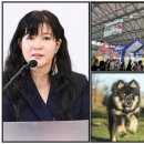 수의사 장터 이미지