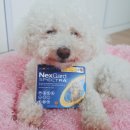 고려동물약품 이미지