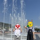 2026 무안 연꽃축제 솔직 후기: 기본 정보, 아이와 방문 팁, 놀이기구, 먹거리 총정리