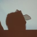 신매세탁소 이미지