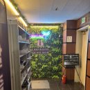 앤하우스 | 698. 부천방탈출 라비린스이스케이프 <앤하우스> 공포방탈출 후기