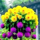 연(緣) 이미지