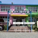 충남 부여 아이와 가볼만한곳 부여해아뜰 물놀이 가능한 유아 체험학교 후기