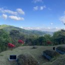 일부2리 이미지