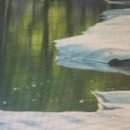 류마이준희내과의원 이미지